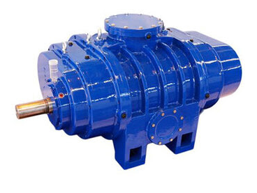 Roots Vacuum Pump